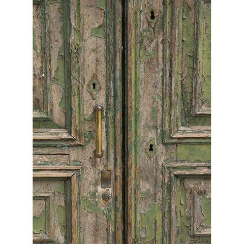 Venice Green Door Black Modern Wood Framed Art Print with Double Matting by Johnson, George