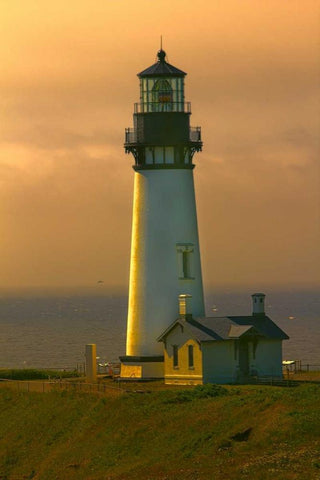 Yaquina Head Lighthouse Black Ornate Wood Framed Art Print with Double Matting by Johnson, George