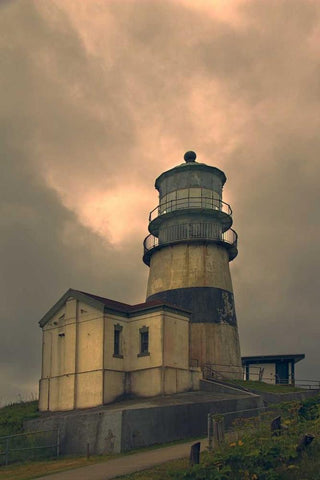 Cape Disappointment Lighthouse Black Ornate Wood Framed Art Print with Double Matting by Johnson, George