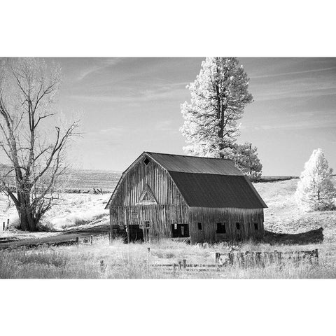 Palouse Barn Gold Ornate Wood Framed Art Print with Double Matting by Johnson, George