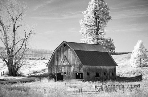 Palouse Barn White Modern Wood Framed Art Print with Double Matting by Johnson, George