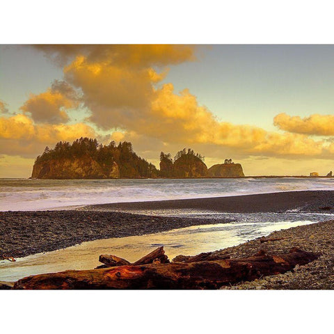 La Push Sea Stacks White Modern Wood Framed Art Print by Johnson, George