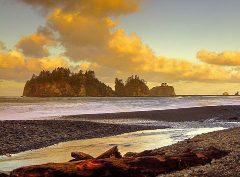 La Push Sea Stacks Black Ornate Wood Framed Art Print with Double Matting by Johnson, George