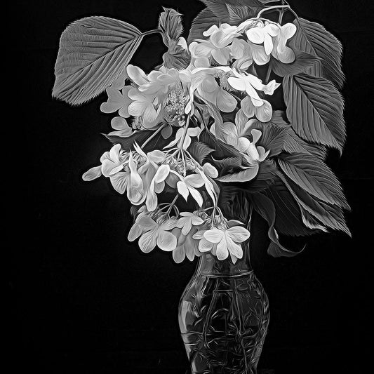 Image Only
