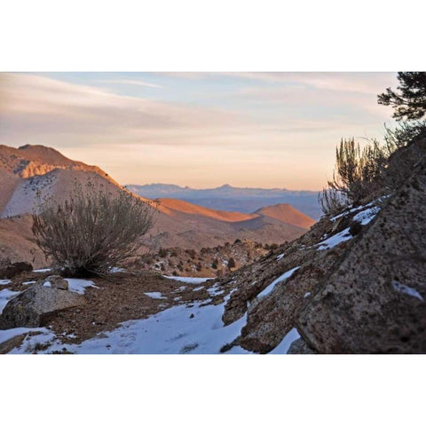 Desert I White Modern Wood Framed Art Print by Kidd, Brian