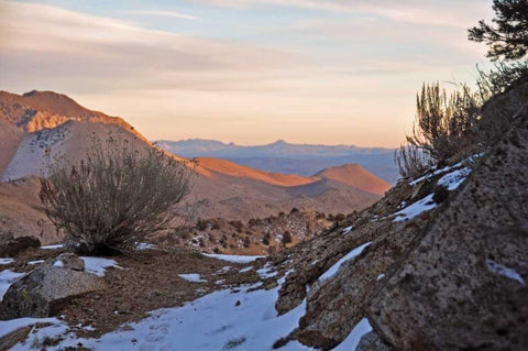 Desert I Black Ornate Wood Framed Art Print with Double Matting by Kidd, Brian