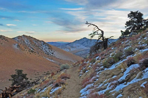 Desert II White Modern Wood Framed Art Print with Double Matting by Kidd, Brian