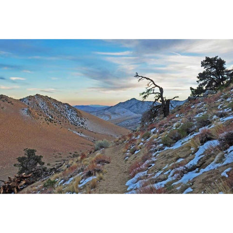 Desert II White Modern Wood Framed Art Print by Kidd, Brian