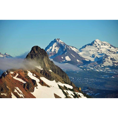 Three Fingered Jack Gold Ornate Wood Framed Art Print with Double Matting by Kidd, Brian