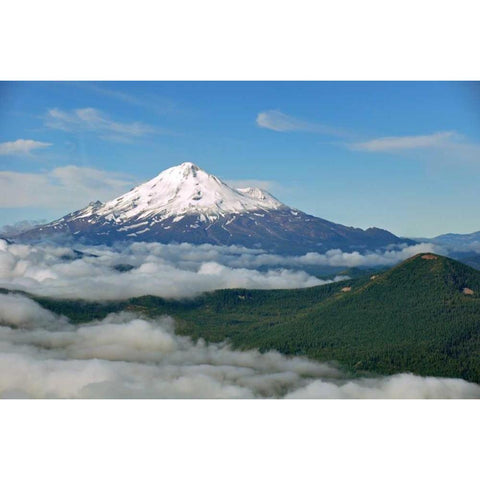 Mt. Shasta Gold Ornate Wood Framed Art Print with Double Matting by Kidd, Brian