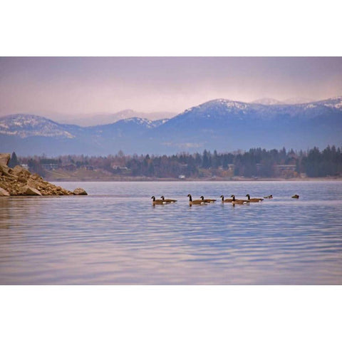 Sandpoint I Gold Ornate Wood Framed Art Print with Double Matting by Kidd, Brian