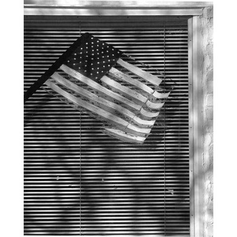 Window Flag II Black Modern Wood Framed Art Print with Double Matting by Larson, Scott