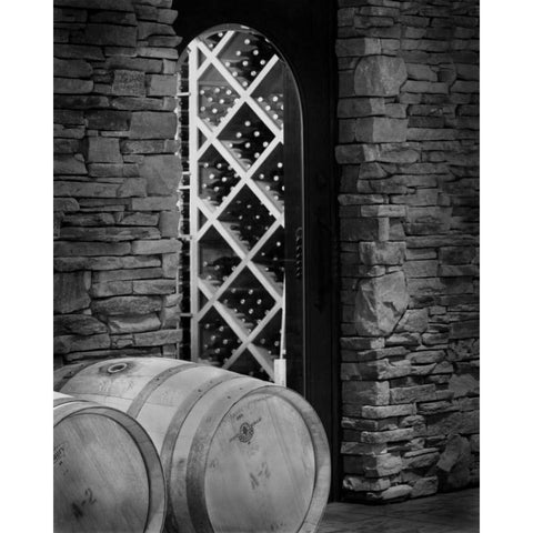 Wine Cellar I Black Modern Wood Framed Art Print with Double Matting by Larson, Scott