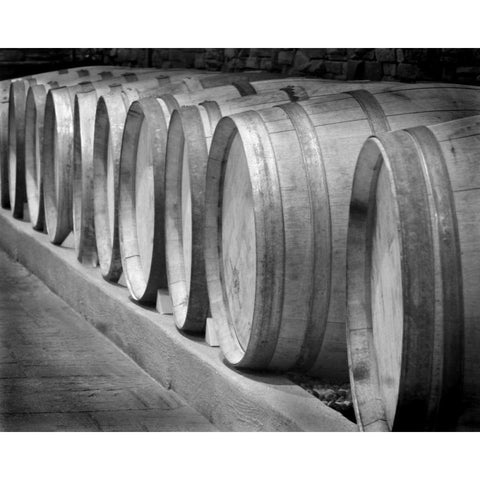 Winery I Black Modern Wood Framed Art Print with Double Matting by Larson, Scott