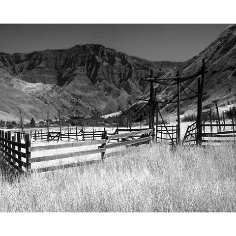 Summer Corral I Black Modern Wood Framed Art Print with Double Matting by Larson, Scott