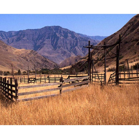 Summer Corral II Gold Ornate Wood Framed Art Print with Double Matting by Larson, Scott