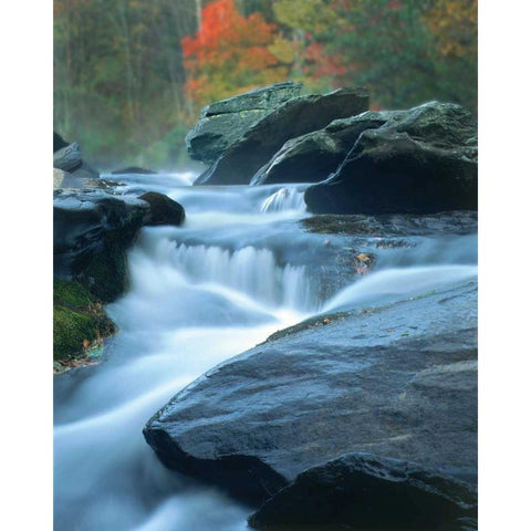 Moving Water III White Modern Wood Framed Art Print by Larson, Scott