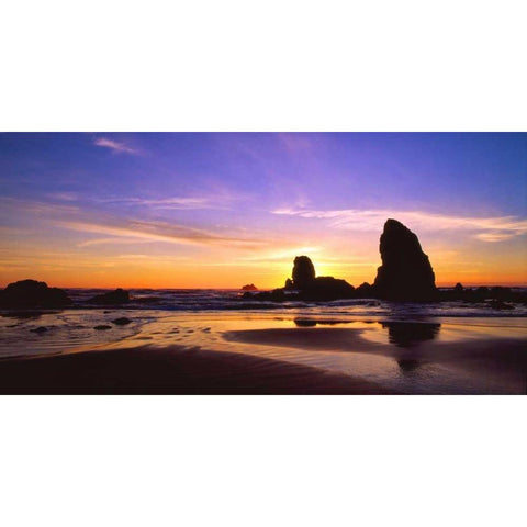 Cannon Beach IV Gold Ornate Wood Framed Art Print with Double Matting by Leahy, Ike
