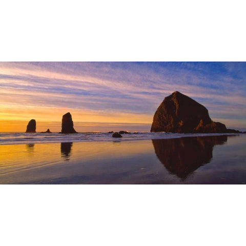 Cannon Beach V Gold Ornate Wood Framed Art Print with Double Matting by Leahy, Ike