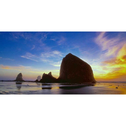 Cannon Beach VI Black Modern Wood Framed Art Print with Double Matting by Leahy, Ike