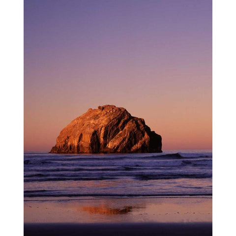 Bandon I Gold Ornate Wood Framed Art Print with Double Matting by Leahy, Ike