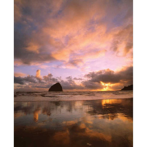 Pacific City V White Modern Wood Framed Art Print by Leahy, Ike