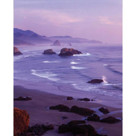 Ecola State Park I Gold Ornate Wood Framed Art Print with Double Matting by Leahy, Ike