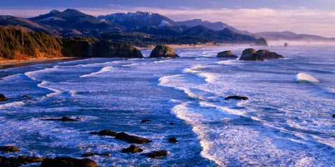 Ecola State Park IV White Modern Wood Framed Art Print with Double Matting by Leahy, Ike
