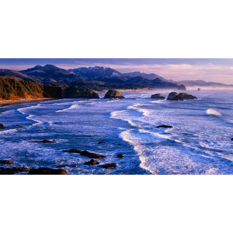 Ecola State Park IV Black Modern Wood Framed Art Print with Double Matting by Leahy, Ike