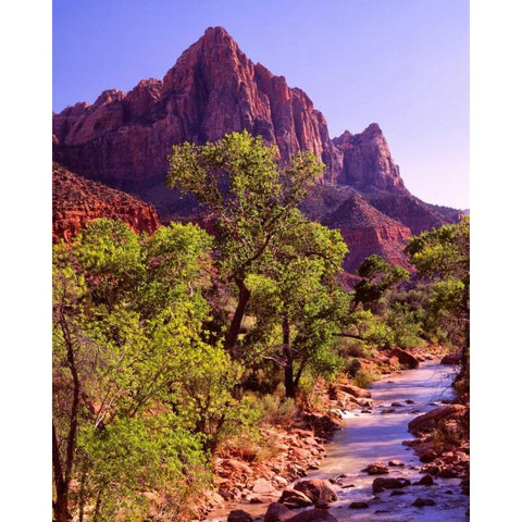 Zion National Park I Black Modern Wood Framed Art Print with Double Matting by Leahy, Ike