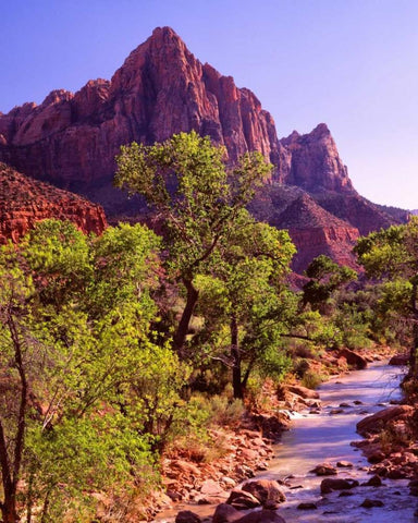 Zion National Park I Black Ornate Wood Framed Art Print with Double Matting by Leahy, Ike