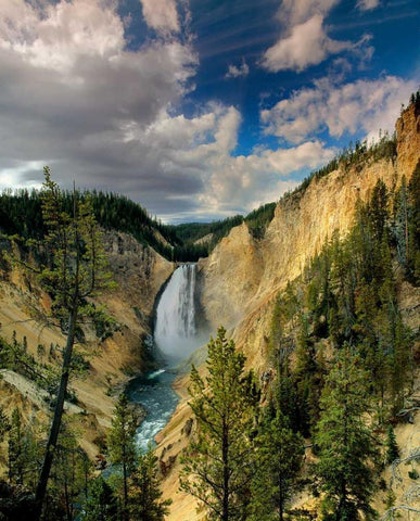 Yellowstone Falls Black Ornate Wood Framed Art Print with Double Matting by Leahy, Ike