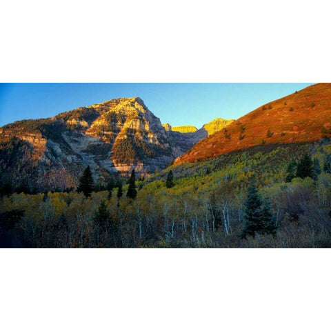 Sundance Gold Ornate Wood Framed Art Print with Double Matting by Leahy, Ike