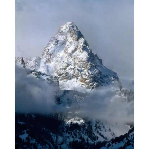 Grand Teton National Park IV Black Modern Wood Framed Art Print with Double Matting by Leahy, Ike