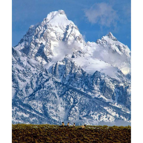 Grand Teton National Park V Black Modern Wood Framed Art Print with Double Matting by Leahy, Ike