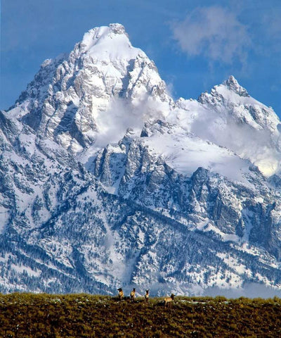 Grand Teton National Park V White Modern Wood Framed Art Print with Double Matting by Leahy, Ike