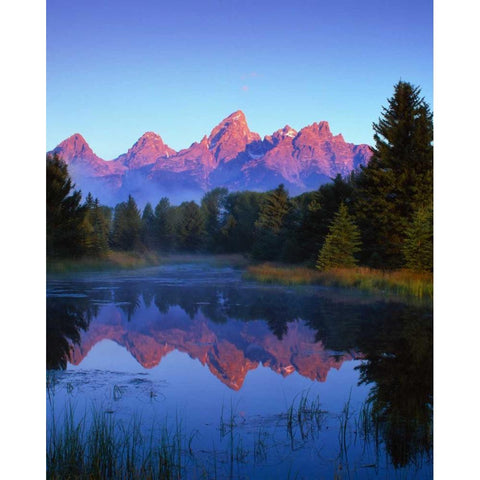 Grand Teton National Park VI White Modern Wood Framed Art Print by Leahy, Ike