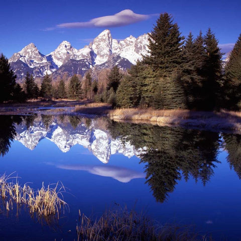 Grand Teton National Park VII Black Ornate Wood Framed Art Print with Double Matting by Leahy, Ike