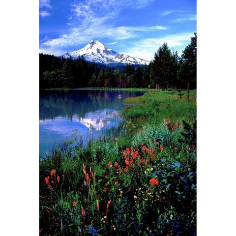 Mt. Hood III White Modern Wood Framed Art Print by Leahy, Ike