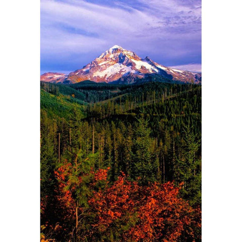 Mt. Hood IV Gold Ornate Wood Framed Art Print with Double Matting by Leahy, Ike