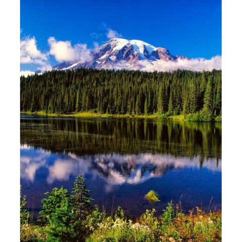 Mt. Rainer II Gold Ornate Wood Framed Art Print with Double Matting by Leahy, Ike