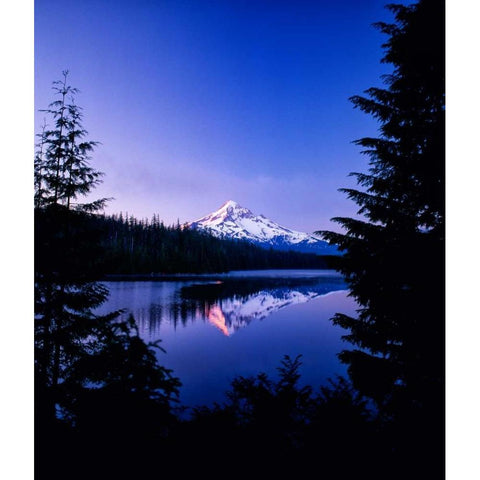 Mt. Hood VII Gold Ornate Wood Framed Art Print with Double Matting by Leahy, Ike