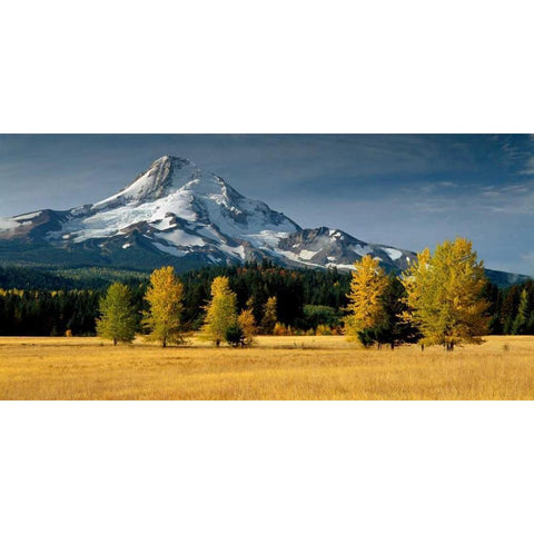 Mt. Hood IX Gold Ornate Wood Framed Art Print with Double Matting by Leahy, Ike