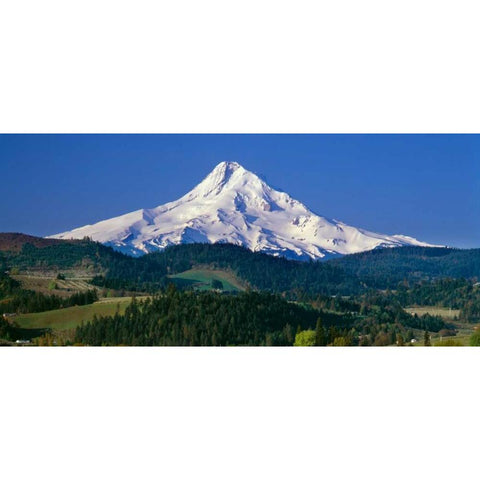 Mt. Hood XI White Modern Wood Framed Art Print by Leahy, Ike