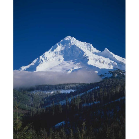 Mt. Hood XIII White Modern Wood Framed Art Print by Leahy, Ike