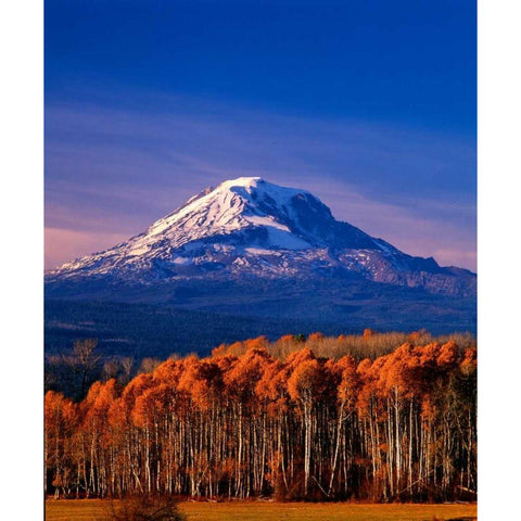 Mt. Adams III Gold Ornate Wood Framed Art Print with Double Matting by Leahy, Ike