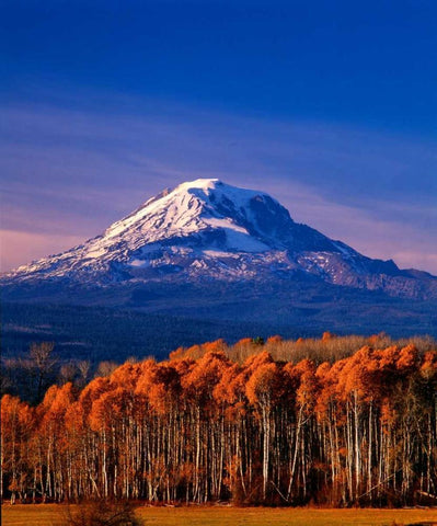 Mt. Adams III Black Ornate Wood Framed Art Print with Double Matting by Leahy, Ike