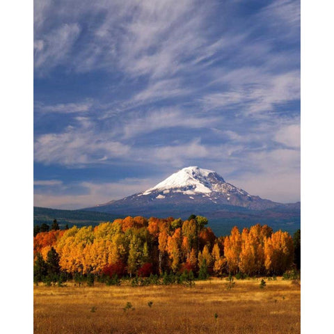 Mt. Adams IV Black Modern Wood Framed Art Print with Double Matting by Leahy, Ike