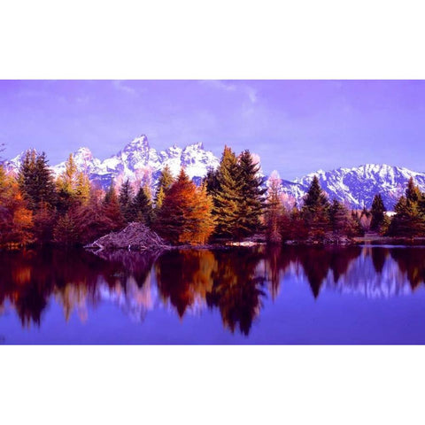 Grand Teton National Park XIV Gold Ornate Wood Framed Art Print with Double Matting by Leahy, Ike