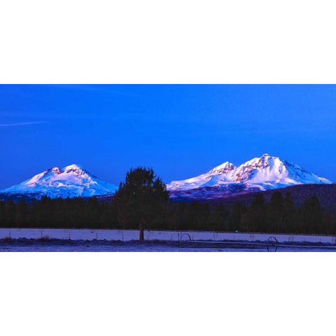Three Sisters Black Modern Wood Framed Art Print by Leahy, Ike